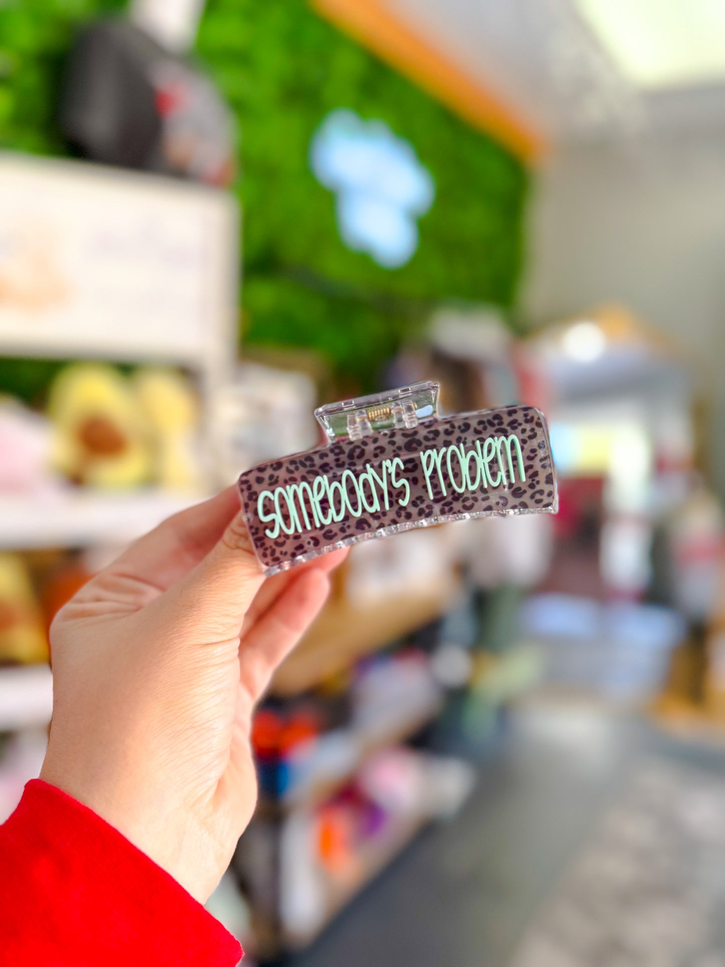 Somebody's Problem - Hair Clip