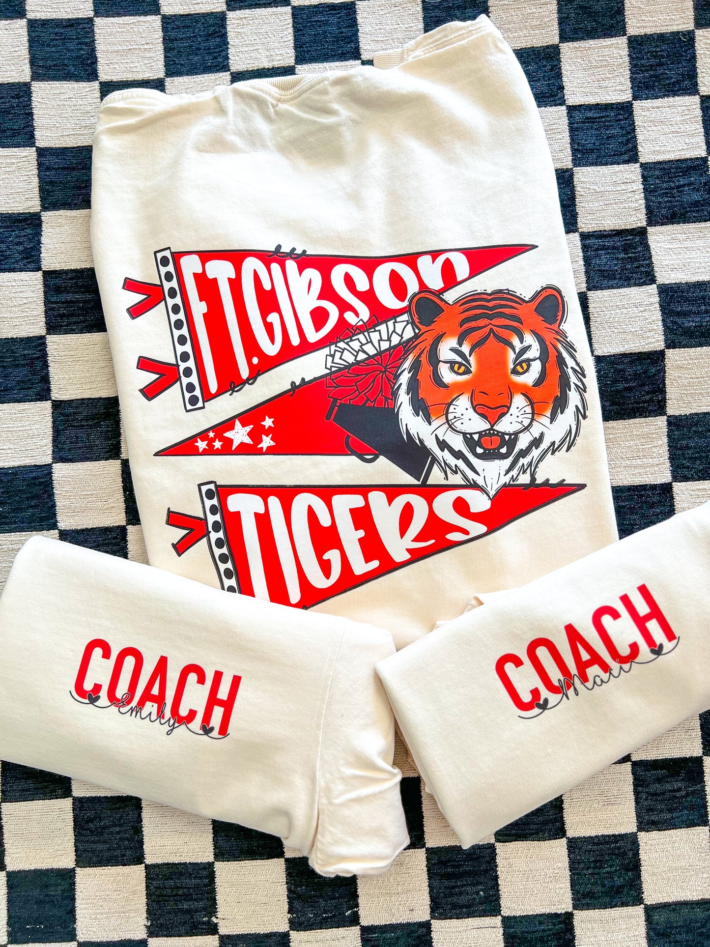 FTG Cheer Coach