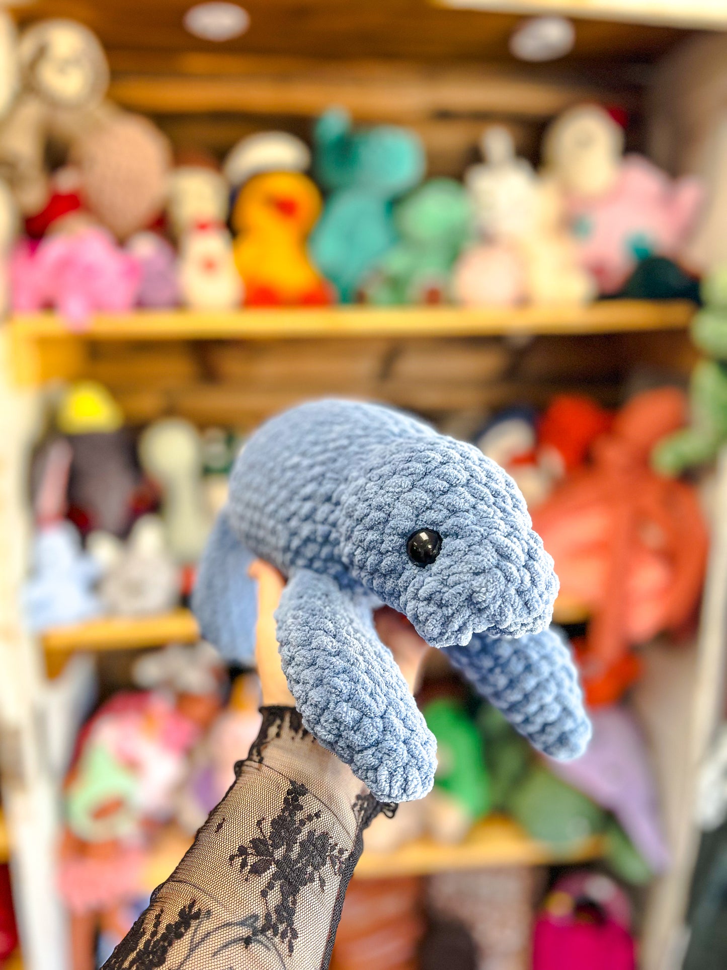 Blue Manatee