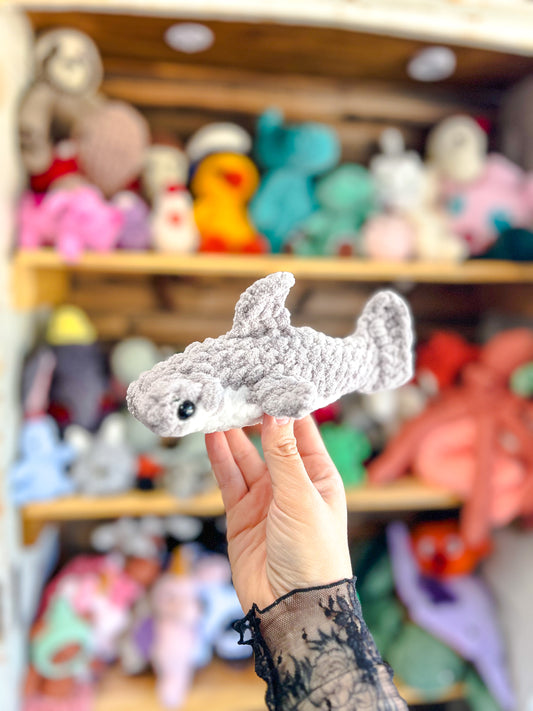 Grey Hammerhead Shark