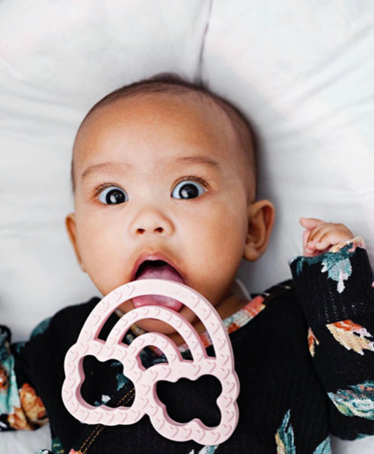 CHEW CREW TEETHER - PK RAINBOW