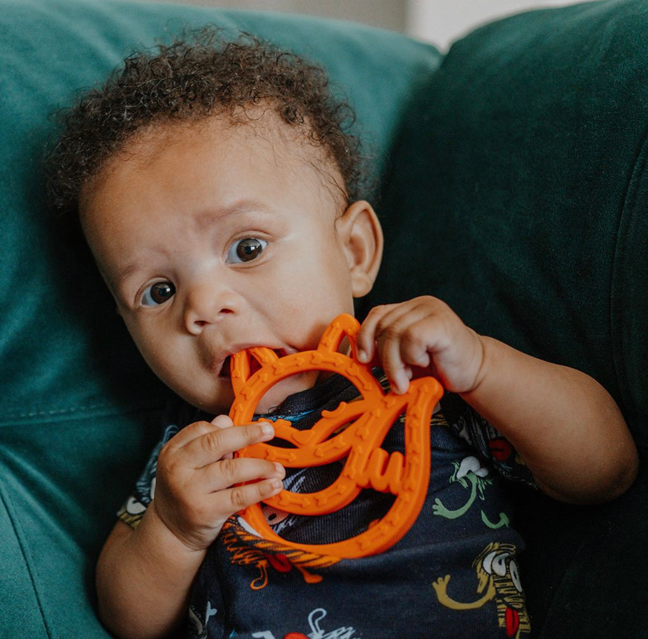 CHEW CREW TEETHER - FOX