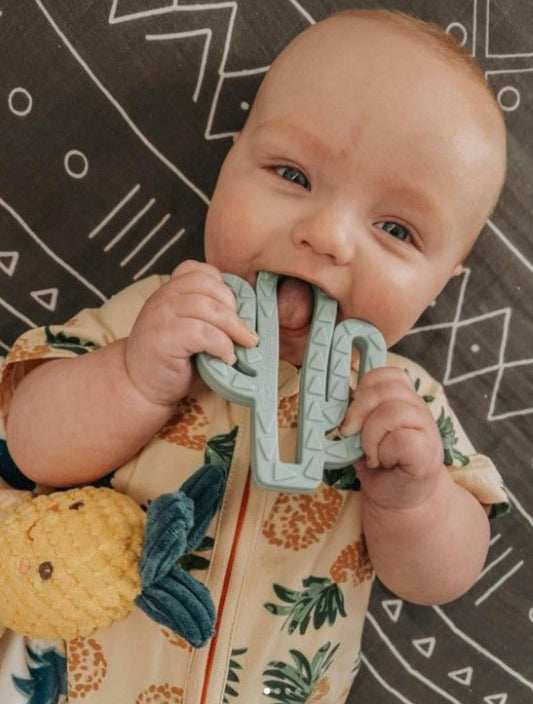 CHEW CREW TEETHER - CACTUS
