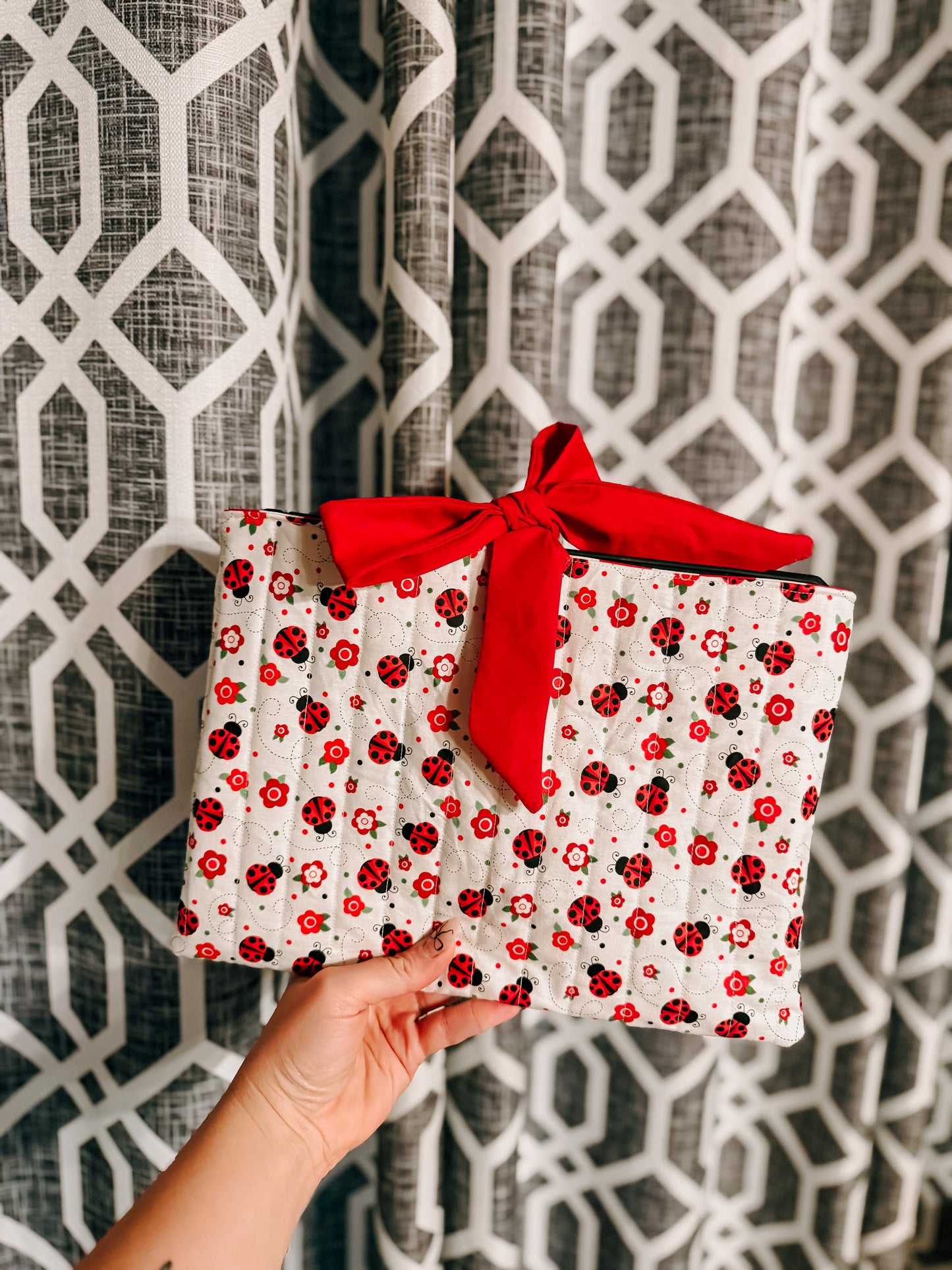 Laptop/iPad Case - Ladybugs