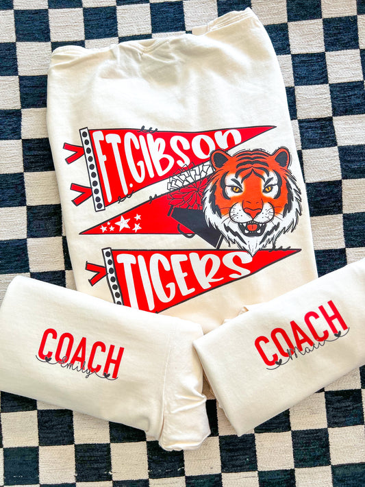 FTG Cheer Coach