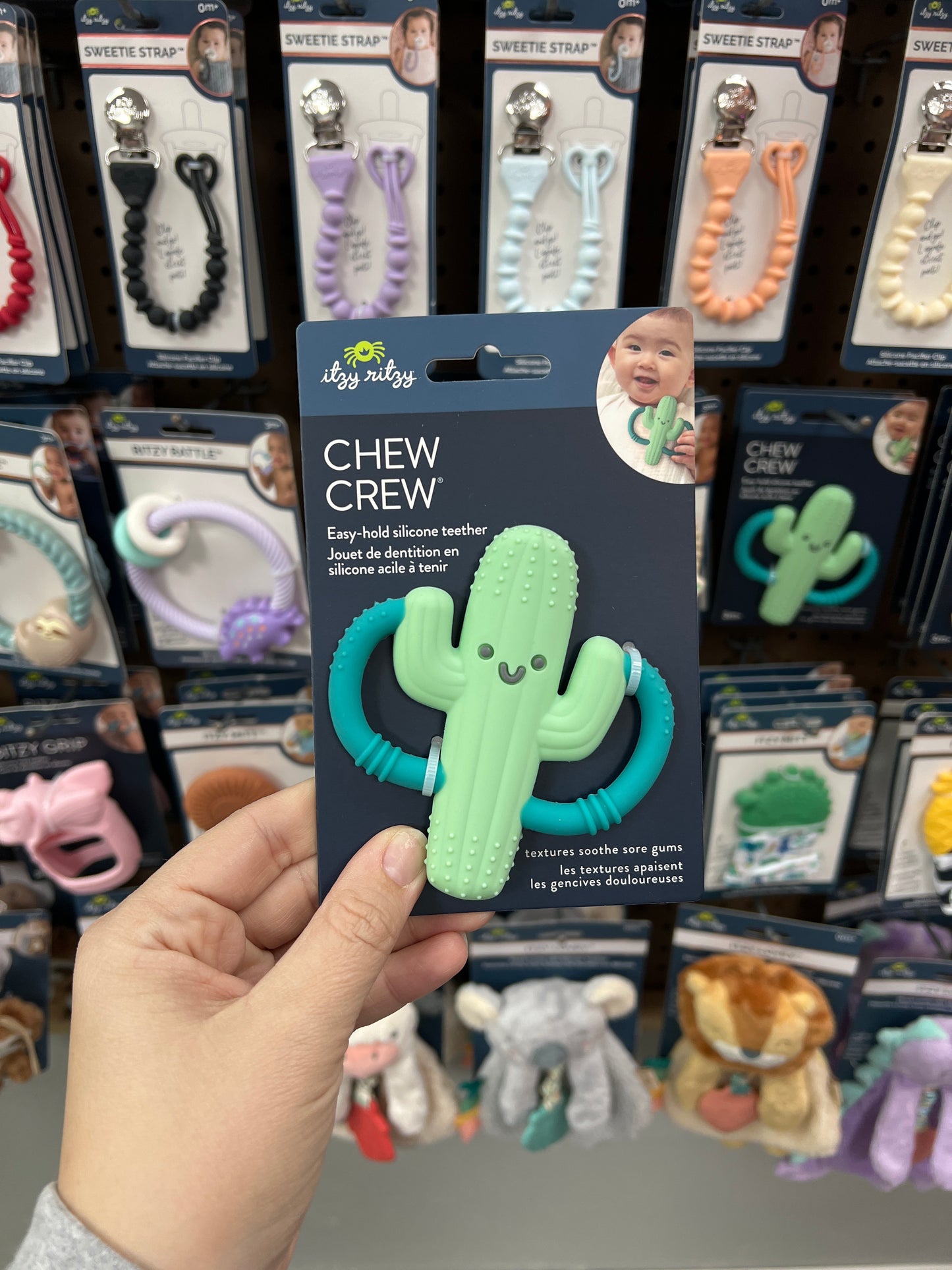 CHEW CREW CACTUS