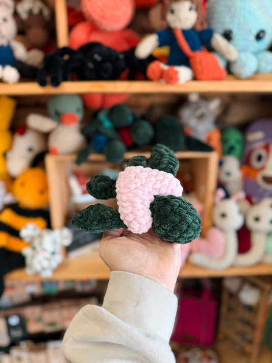 Pink heart seaturtle