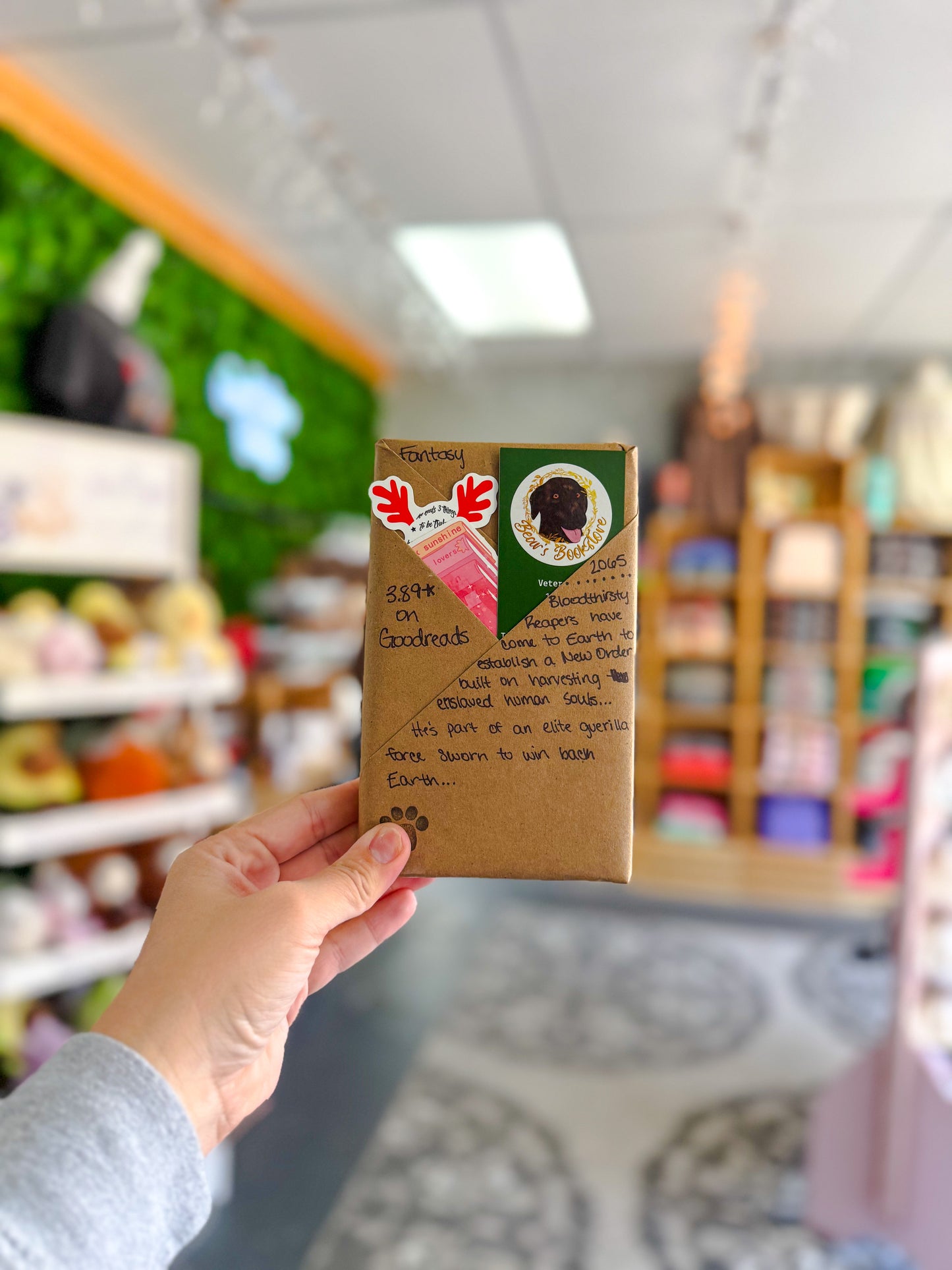 Blind Date With a Book : Fantasy | 3.89 Goodreads