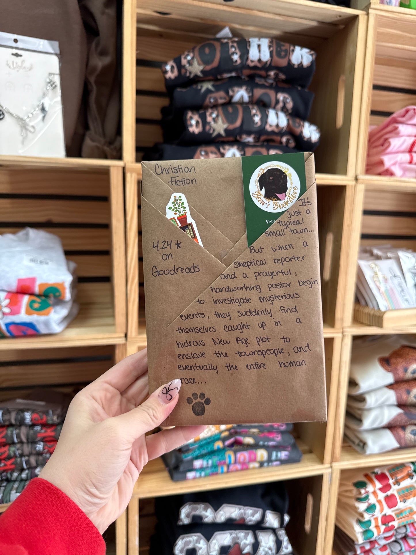 Blind Date With a Book : Christian Fiction | 4.24 Goodreads