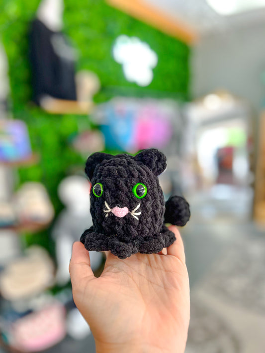 black cat ghost