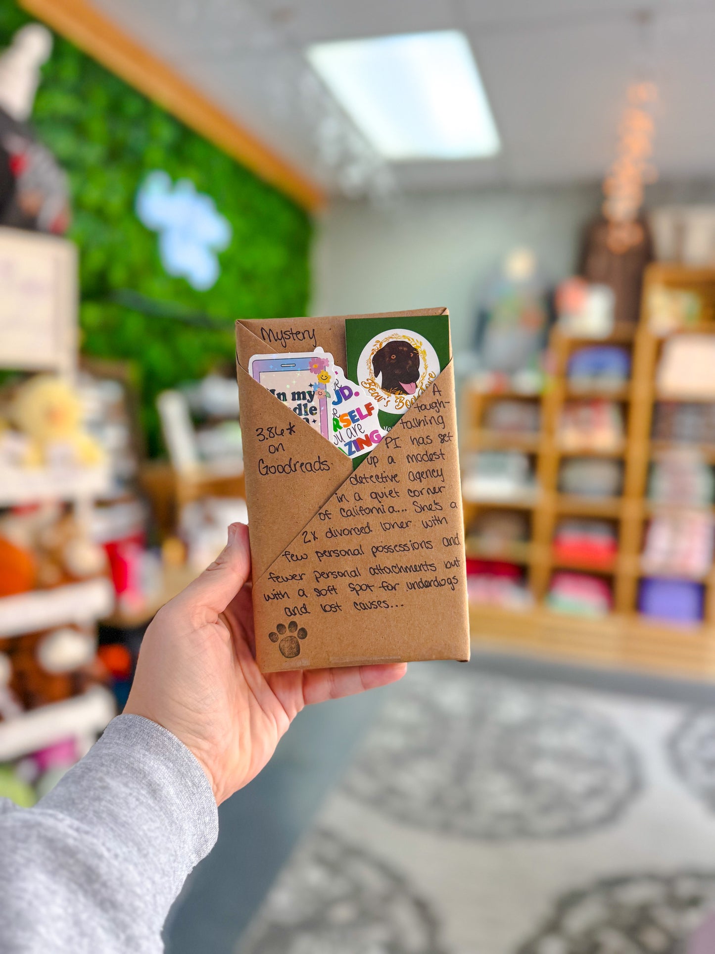 Blind Date With a Book : Mystery | 3.86 Goodreads