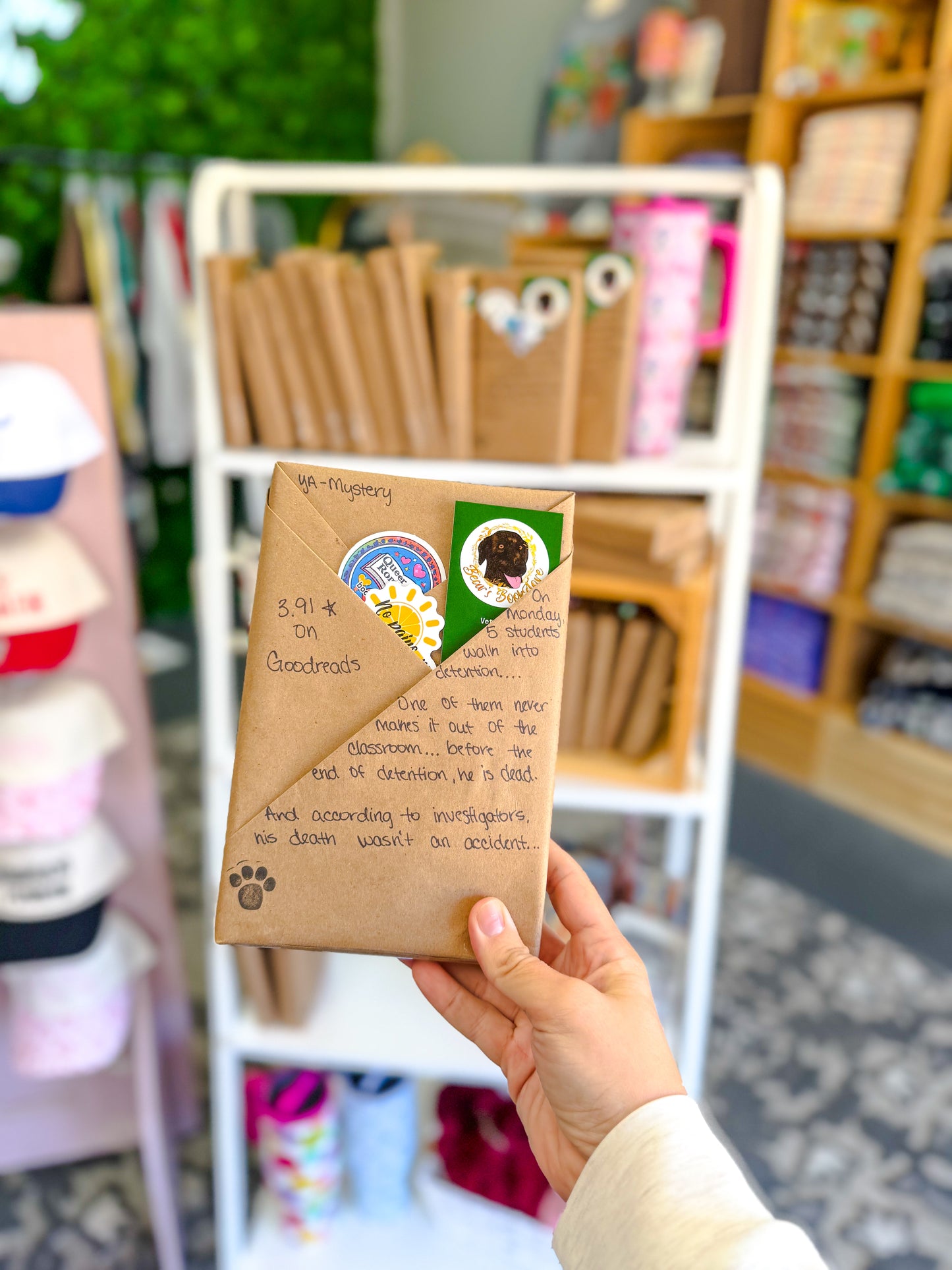 Blind Date With a Book : YA-Mystery | 3.91 Goodreads